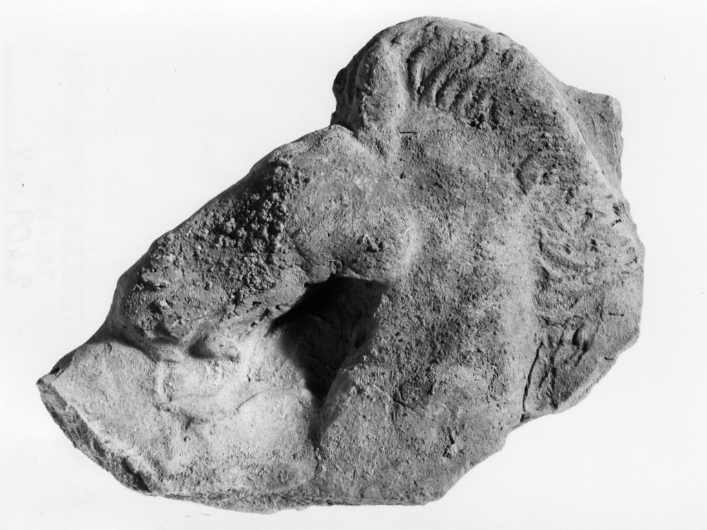 cavallo (terracotta figurata/ frammento) - fabbrica locale (sec. IV a.C)