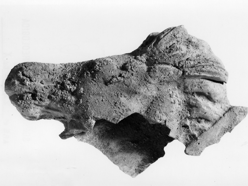 cavallo (terracotta figurata/ frammento) - fabbrica locale (sec. IV a.C)