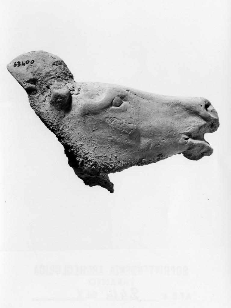 cavallo (terracotta figurata/ frammento) - fabbrica locale (sec. IV a.C)