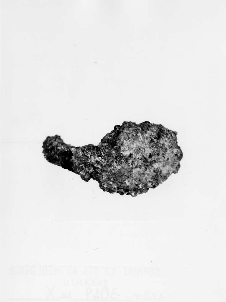 anello digitale - fabbrica tarantino (secc. IV a.C.-III a.C)