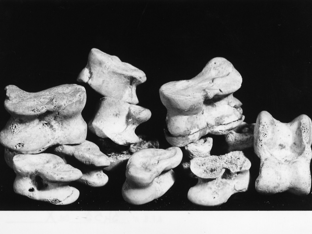 astragali (inizio sec. I d.C)