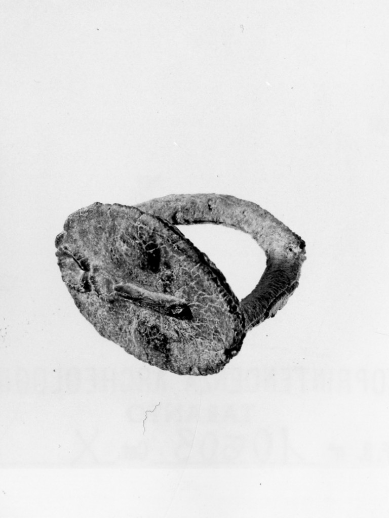anello digitale - fabbrica locale (fine sec. IV a.C)