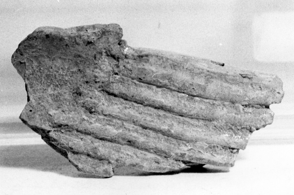 grifo (applique) - fabbrica tarantina (fine/ inizio secc. IV a.C.-III a.C)