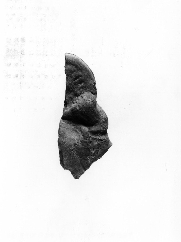 terracotta figurata/ frammento, culto di Apollo-Hyakinthos - fabbrica tarantina (secc. IV a.C.-III a.C)