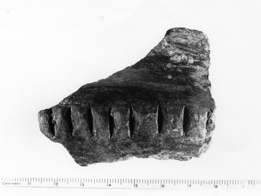 tazza/ frammento - Protovillanoviano (Età del Bronzo finale)