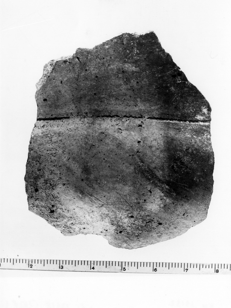 tazza/ frammento (Età del Bronzo finale)