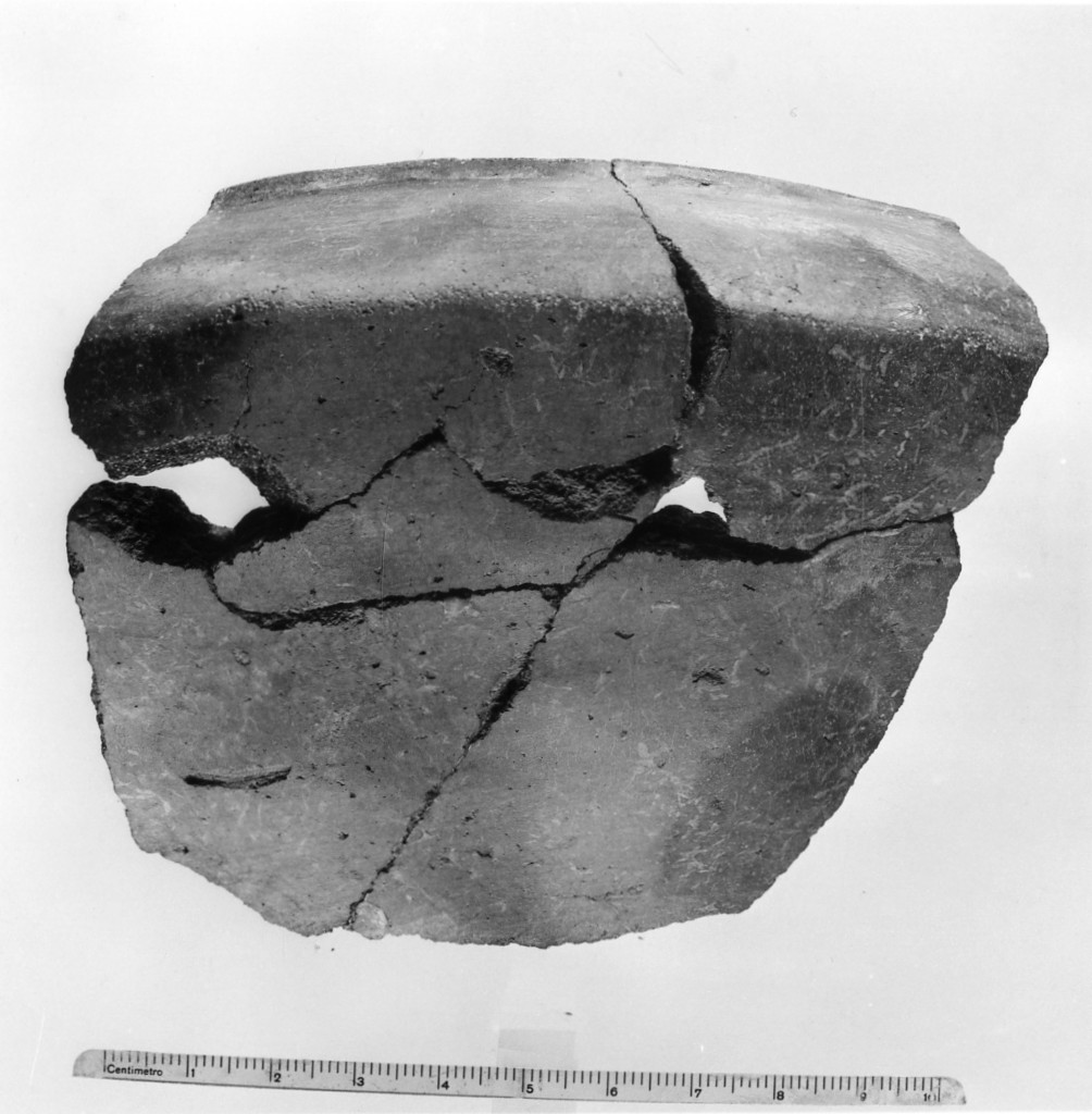 scodella/ frammento (Età del Bronzo finale)