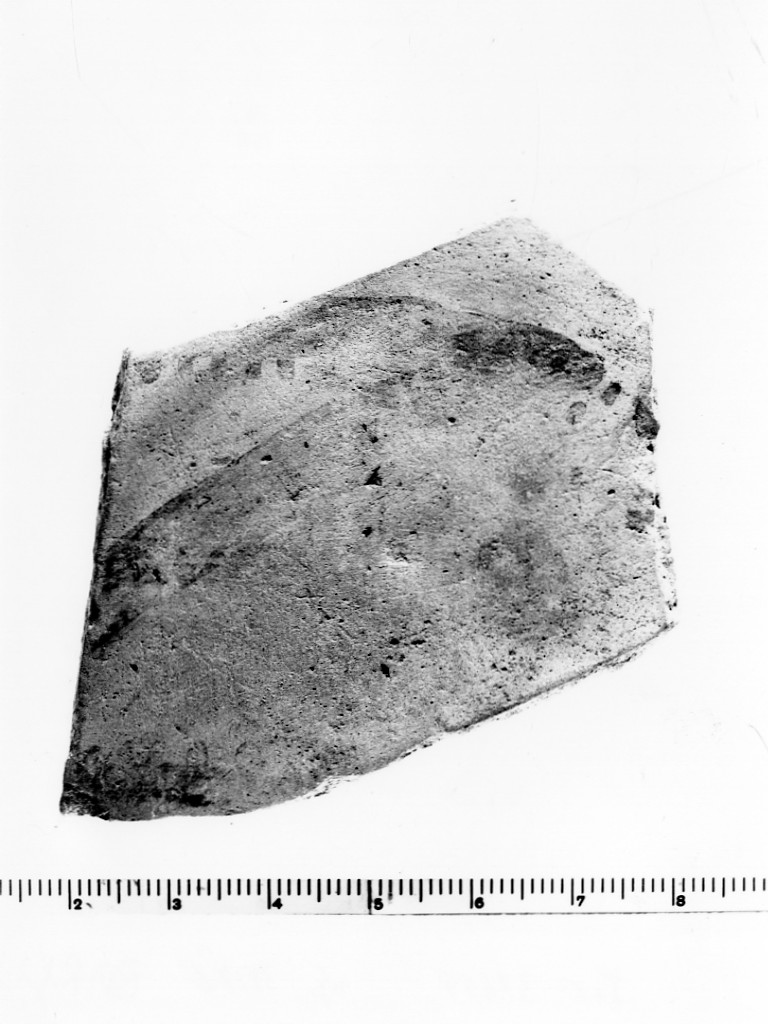 recipiente/ frammento - Protodaunio (Prima Età del Ferro)