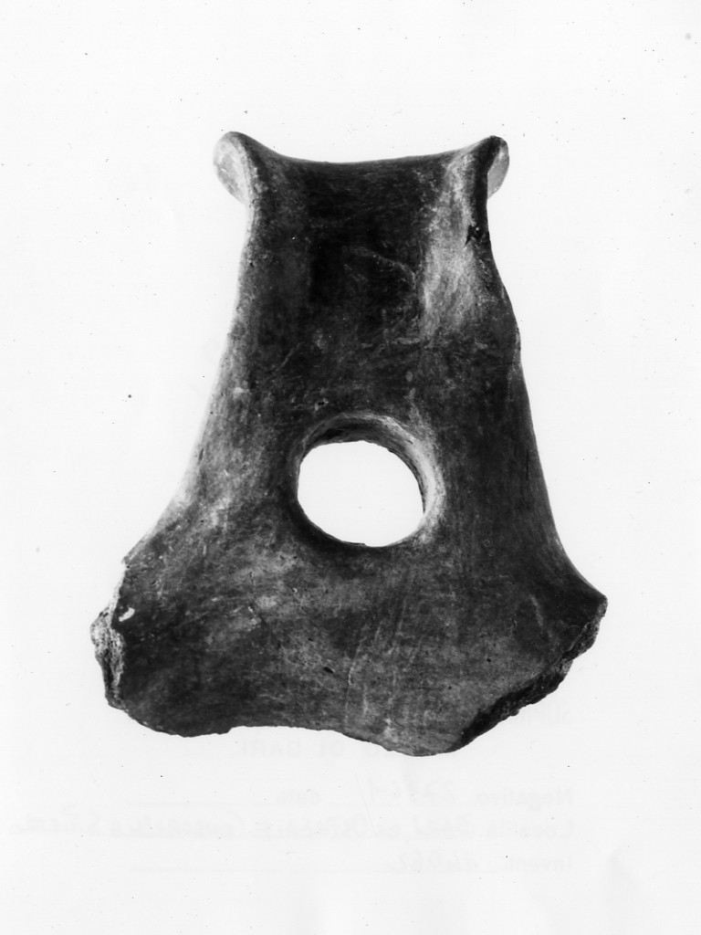 ciotola/ ansa - Protoappenninico (secc. XVI - XV a.C)