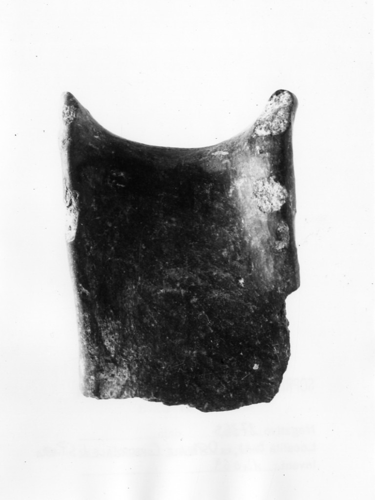 ansa - Protoappenninico (secc. XVI - XV a.C)