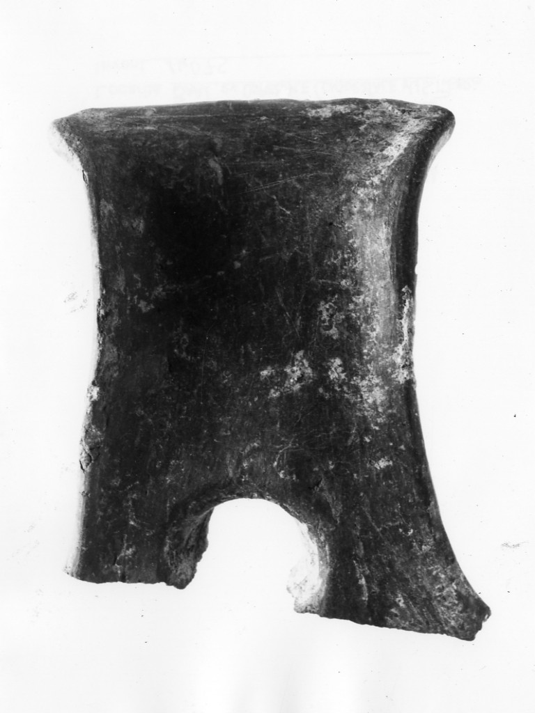 ansa - Protoappenninico (secc. XVI - XV a.C)