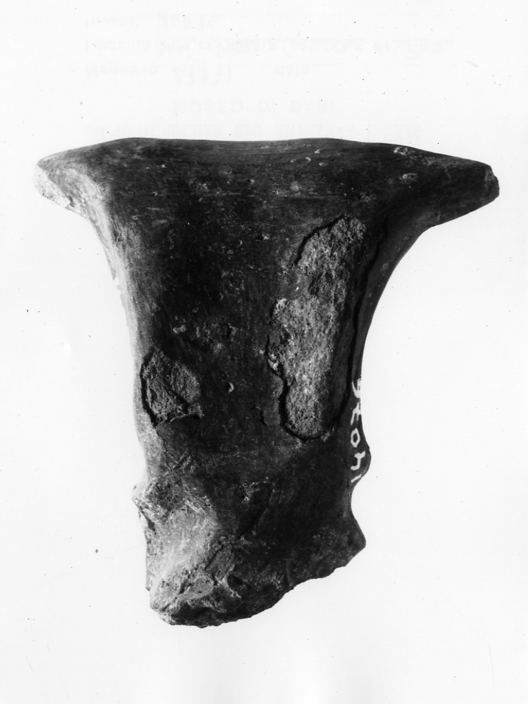 ansa - Protoappenninico (secc. XVI - XV a.C)