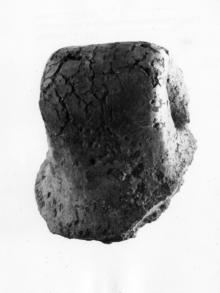 ansa - Protoappenninico (secc. XVI - XV a.C)