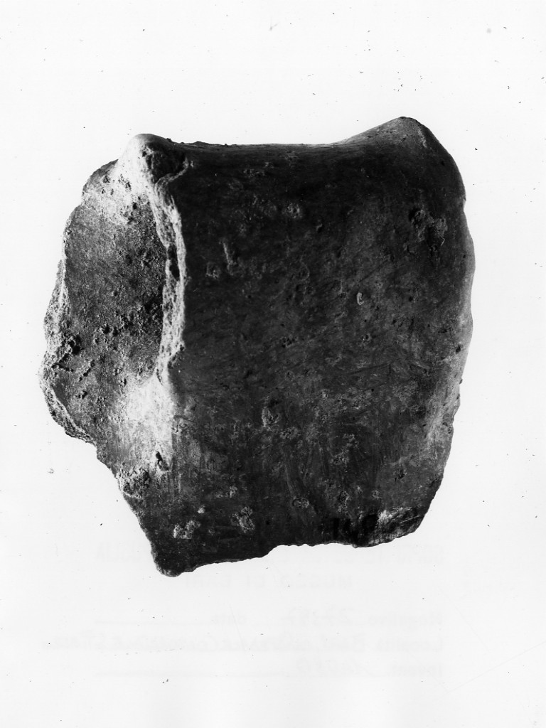 ansa - Protoappenninico (secc. XVI - XV a.C)