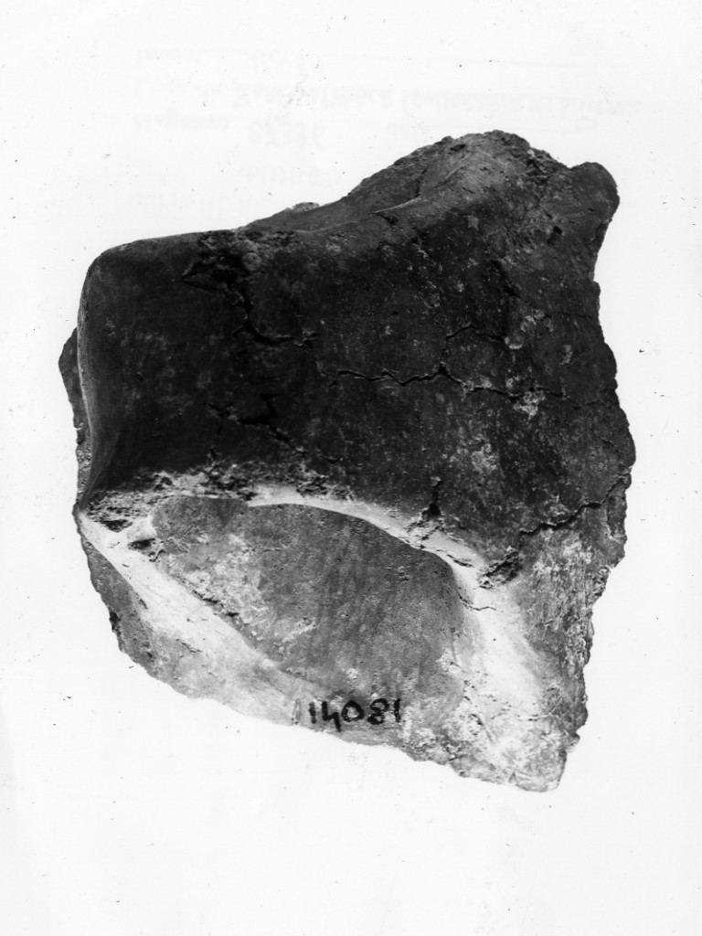 ansa - Protoappenninico (secc. XVI - XV a.C)