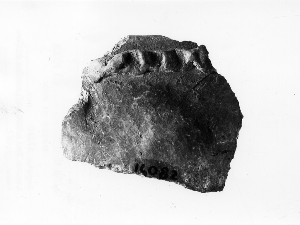 olla/ frammento - Protoappenninico (secc. XVI - XV a.C)