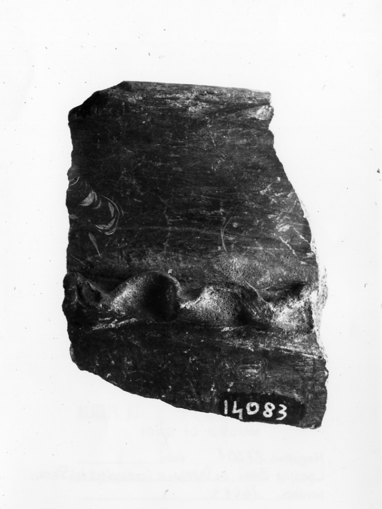 dolio/ frammento - Protoappenninico (secc. XVI - XV a.C)