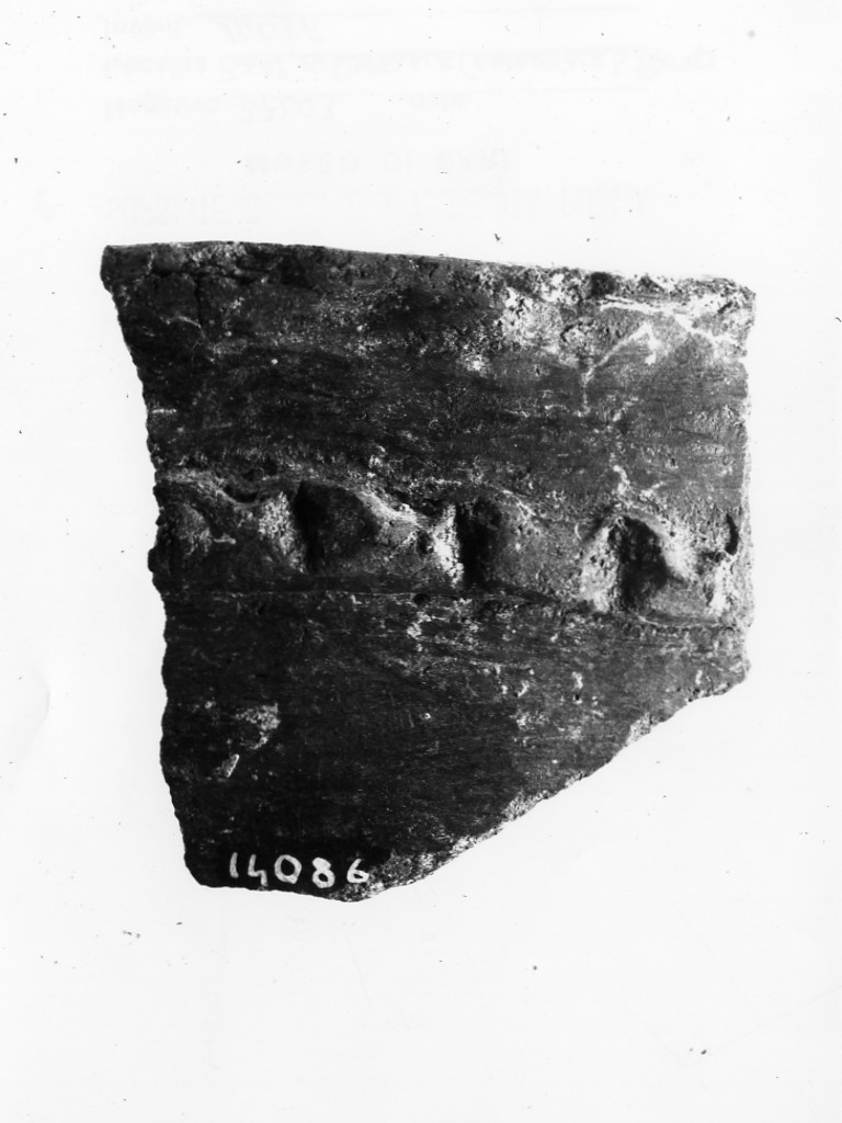 olla/ frammento - Protoappenninico (secc. XVI - XV a.C)