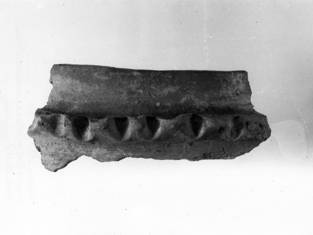 olla/ frammento - Protoappenninico (secc. XVI - XV a.C)