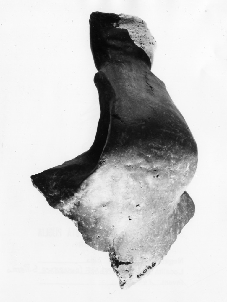 ansa - Protoappenninico (secc. XVI - XIV a.C)