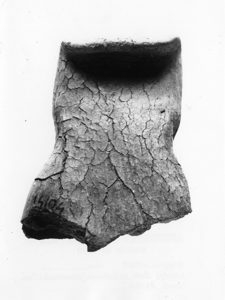 ansa - Protoappenninico (secc. XVI - XV a.C)