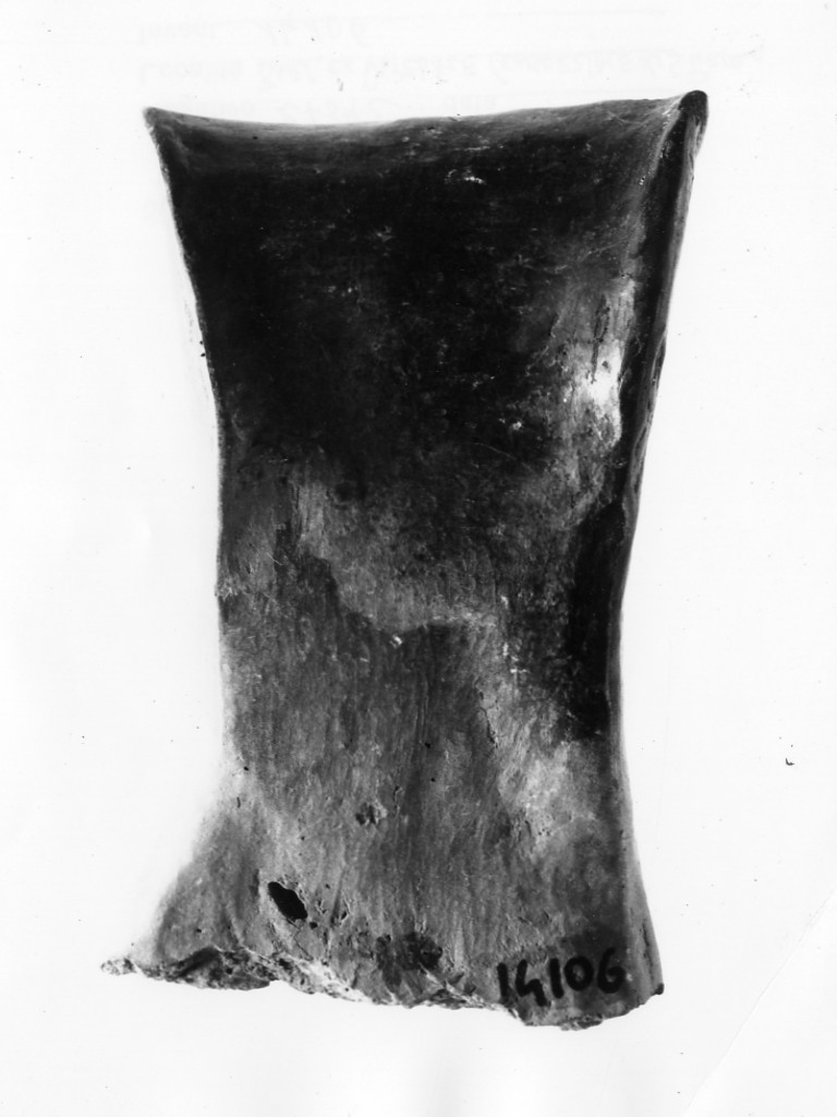 ansa - Protoappenninico (secc. XVI - XIV a.C)