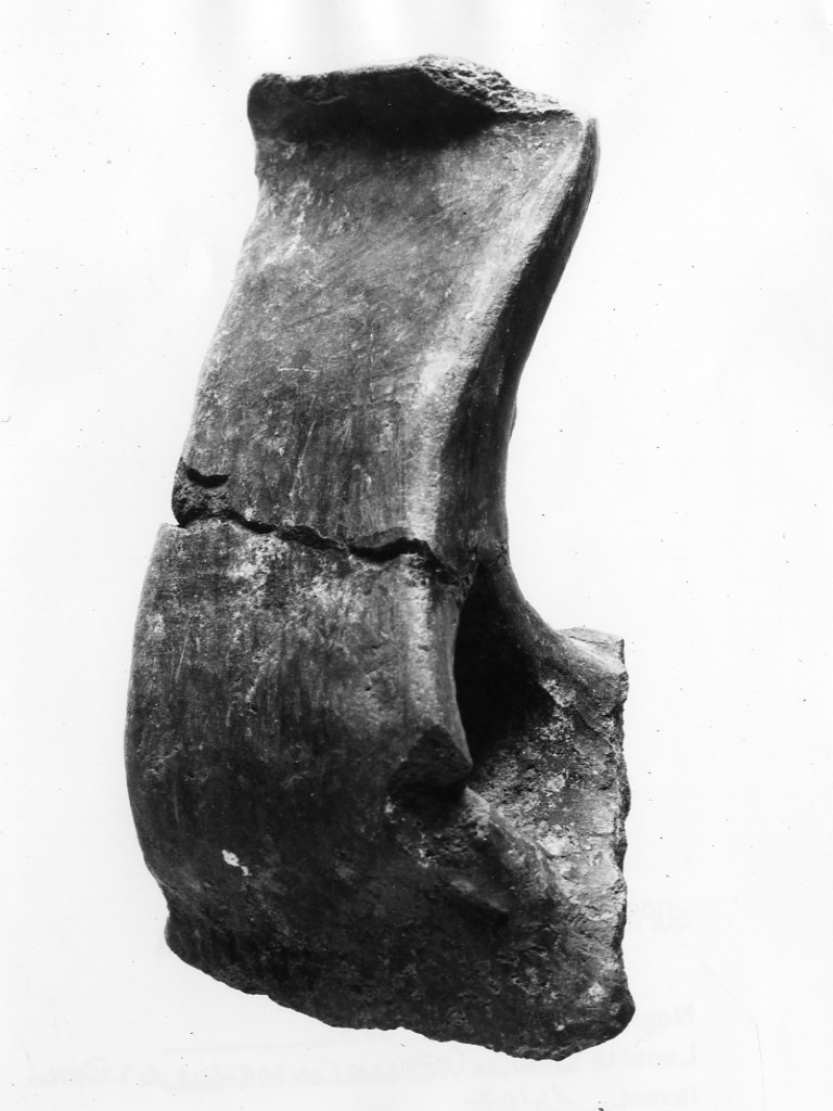 ciotola/ ansa - Protoappenninico (secc. XVI - XV a.C)