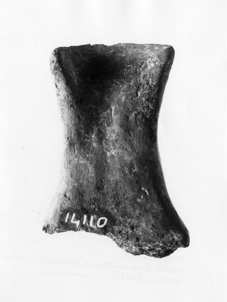 ansa - Protoappenninico (secc. XVI - XV a.C)