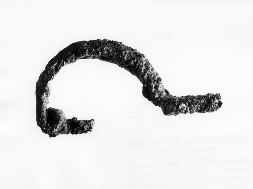 fibula ad arco semplice - fabbrica locale (fine/ inizio secc. VI-V a.C)