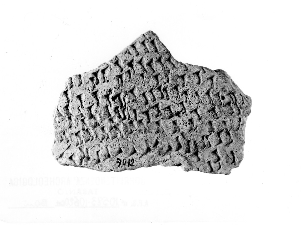 vaso/ frammento - ceramica impressa tipo Molfetta (Neolitico Antico)