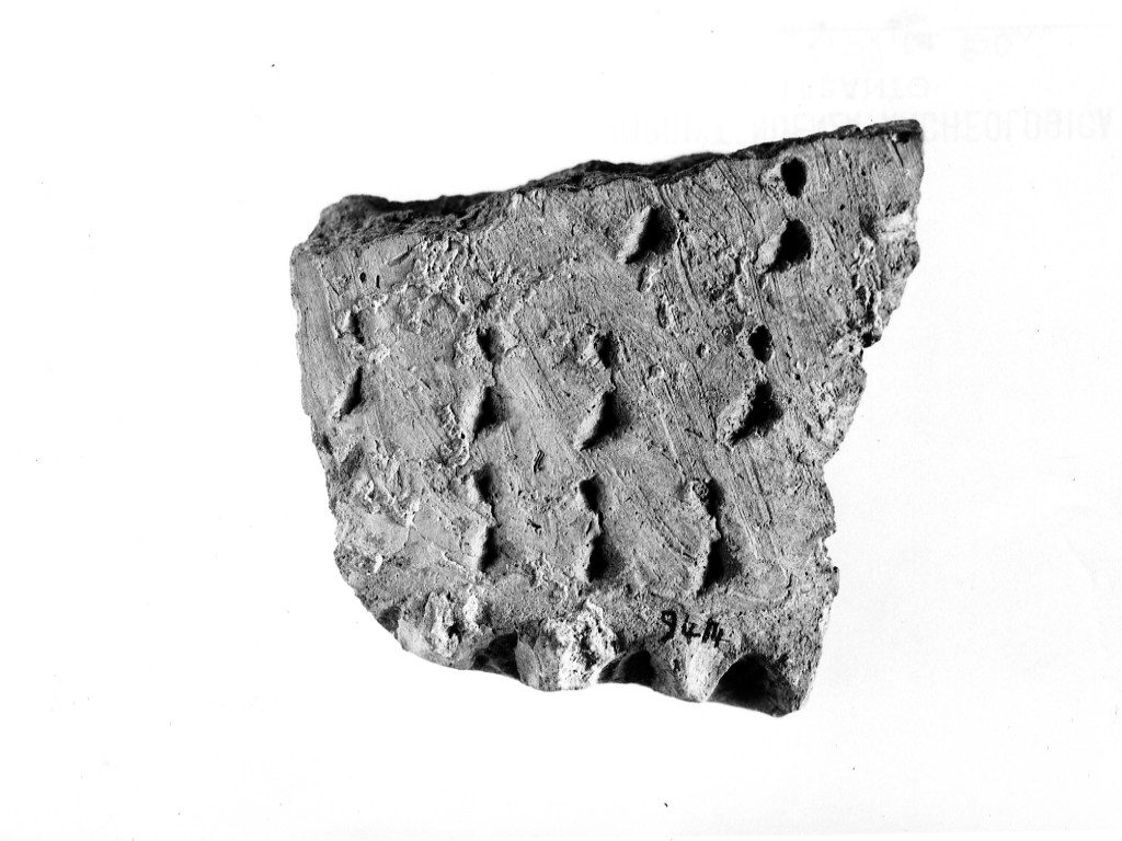 recipiente/ frammento - ceramica impressa tipo Molfetta (Neolitico Antico)