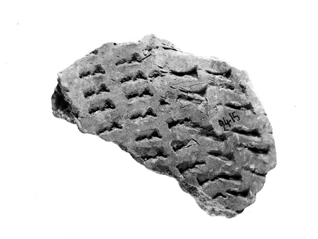 vaso/ frammento - ceramica impressa tipo Molfetta (Neolitico Antico)