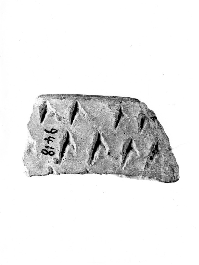 recipiente/ frammento - ceramica impressa tipo Molfetta (Neolitico Antico)