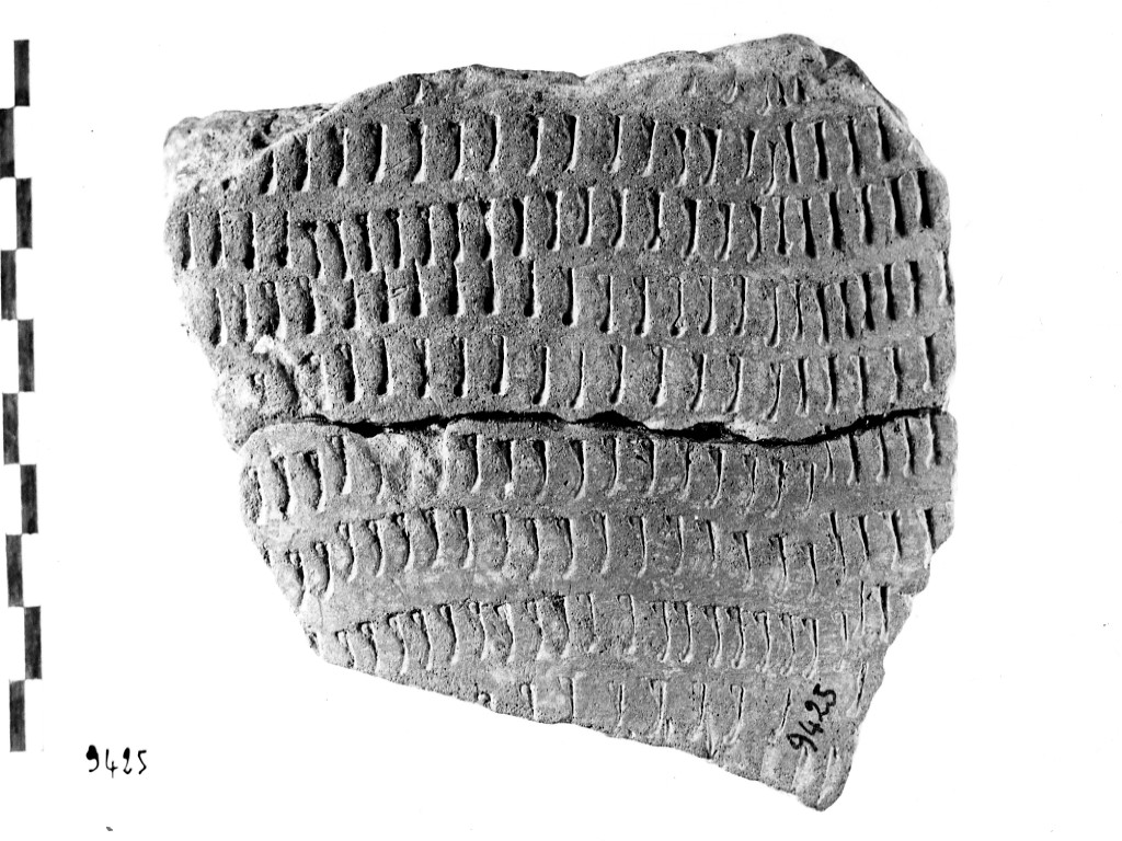 vaso/ frammento - ceramica impressa tipo Molfetta (Neolitico Antico)