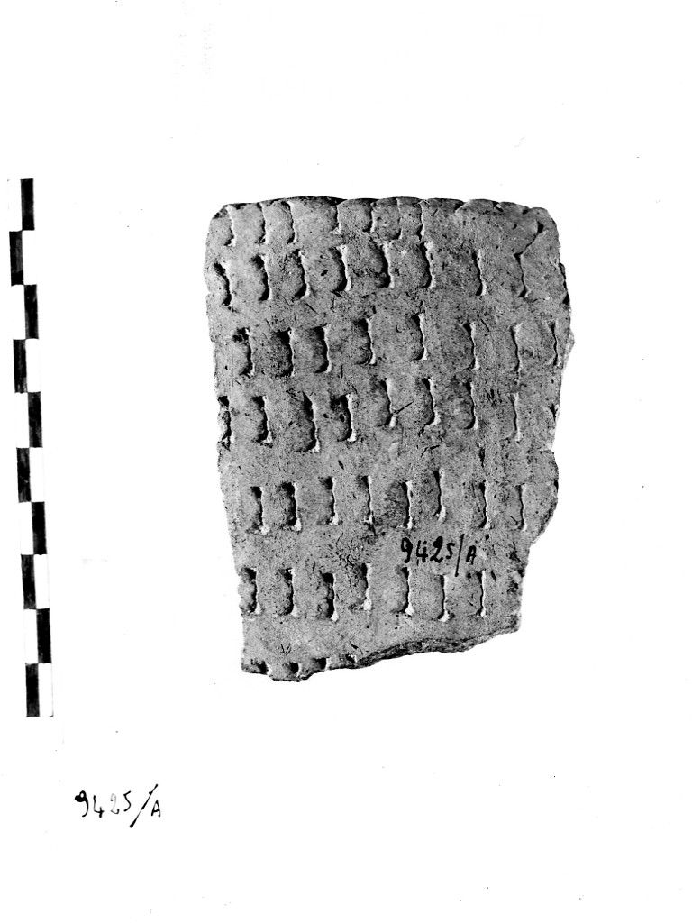 vaso/ frammento - ceramica impressa tipo Molfetta (Neolitico Antico)