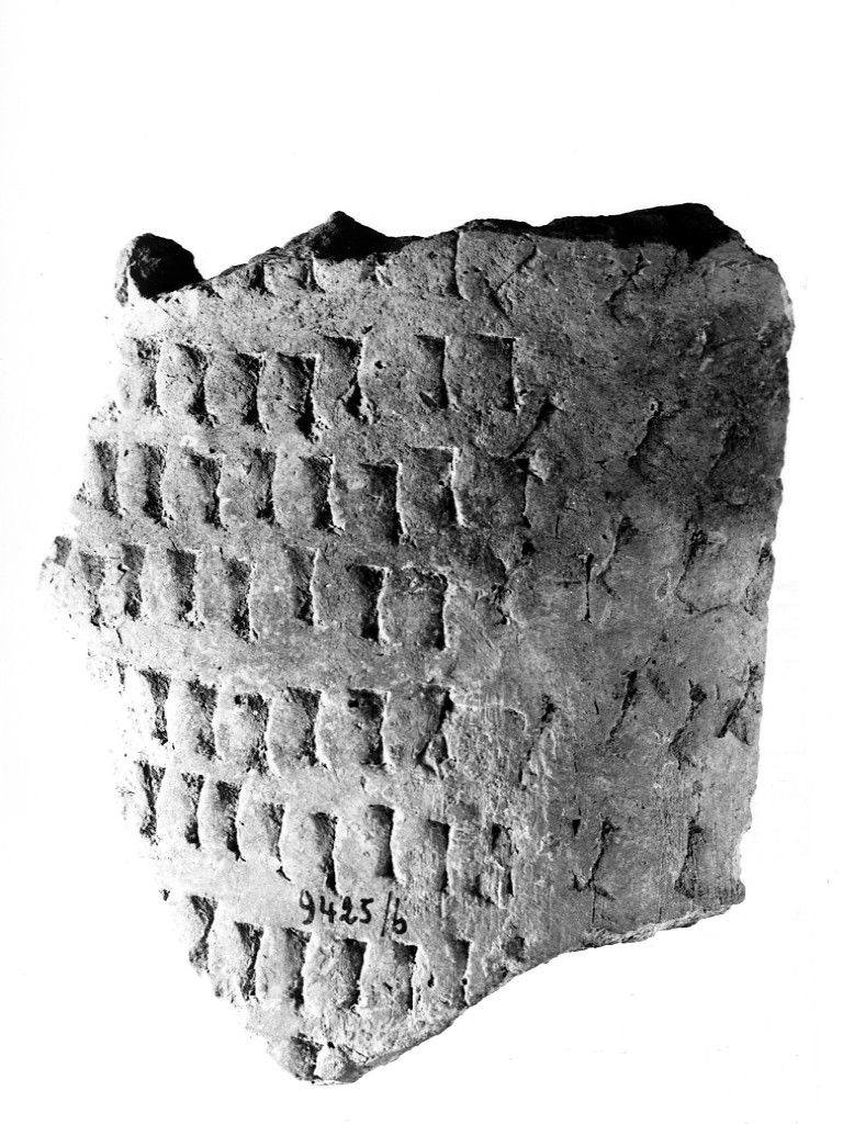 vaso/ frammento - ceramica impressa tipo Molfetta (Neolitico Antico)