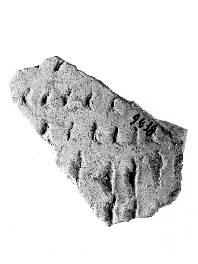 vaso/ frammento - ceramica impressa tipo Molfetta (Neolitico Antico)