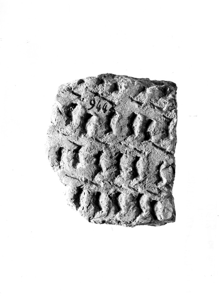 vaso/ frammento - ceramica impressa tipo Molfetta (Neolitico Antico)