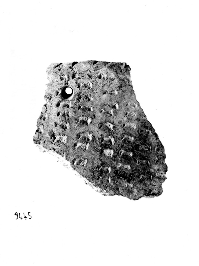 vaso a fiasco/ frammento - ceramica impressa tipo Molfetta (Neolitico Antico)