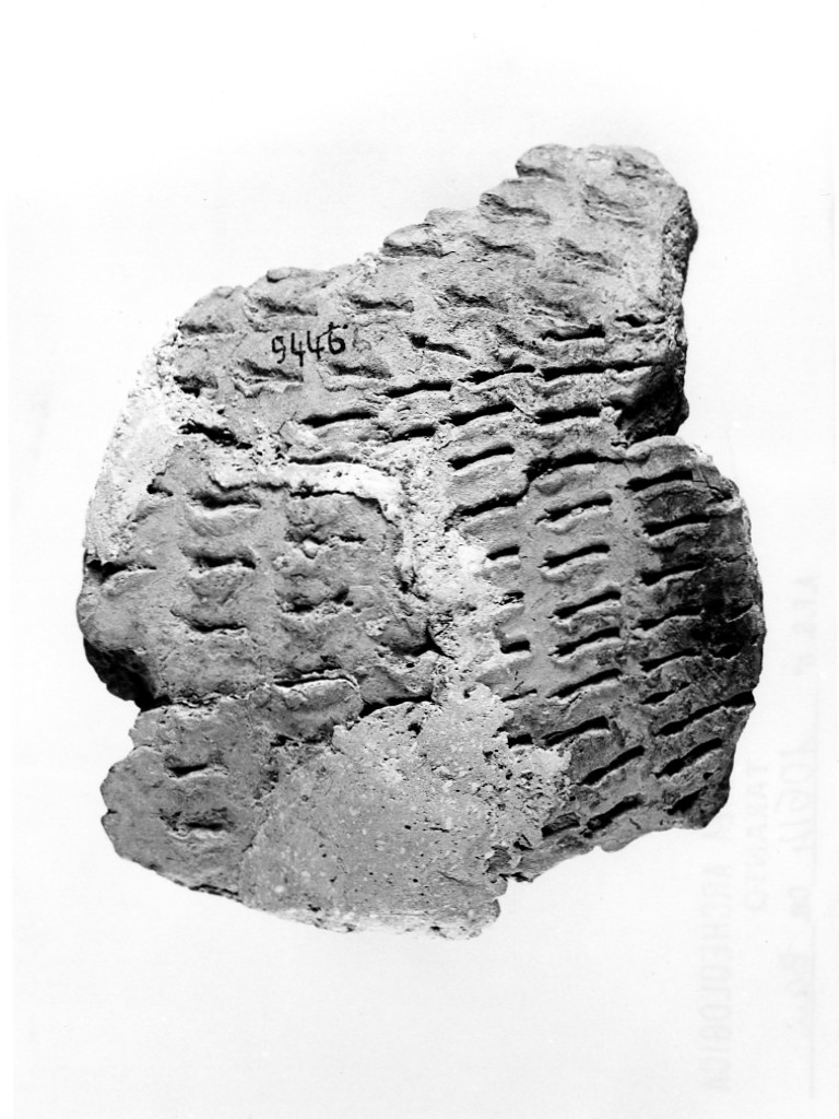 vaso/ frammento - ceramica impressa tipo Molfetta (Neolitico Antico)