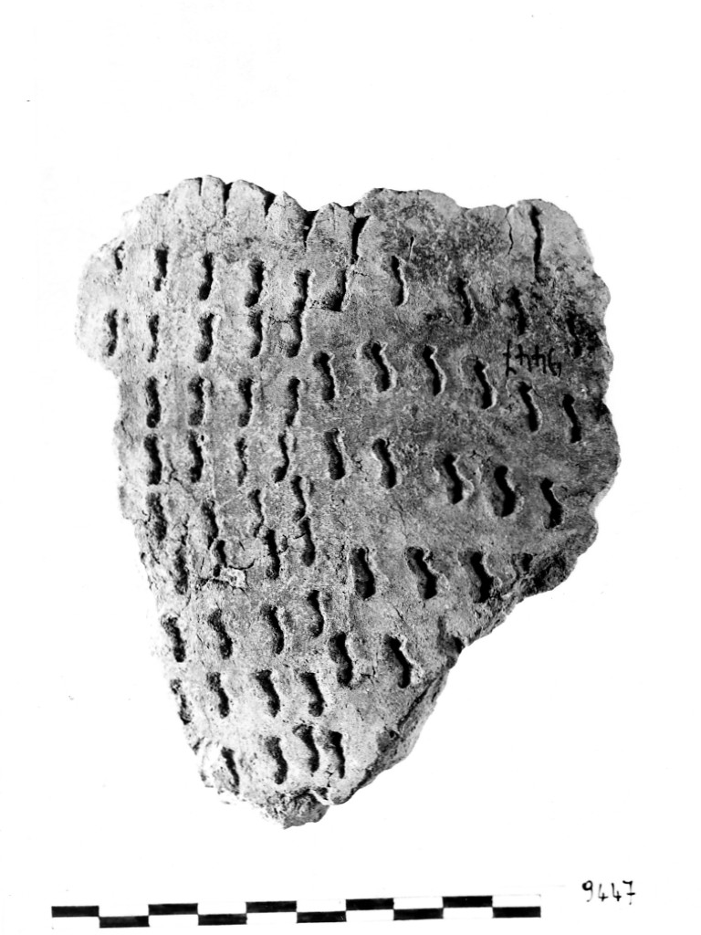 vaso/ frammento - ceramica impressa tipo Molfetta (Neolitico Antico)