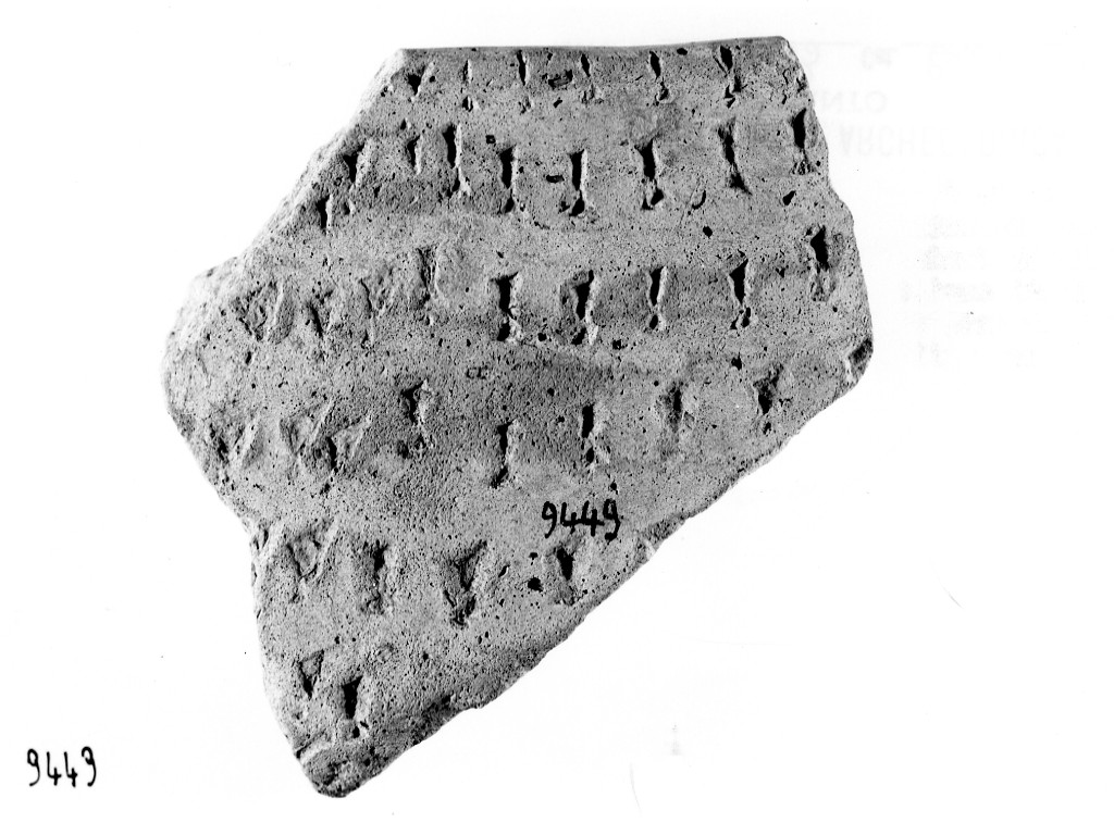 recipiente/ frammento - ceramica impressa tipo Molfetta (Neolitico Antico)