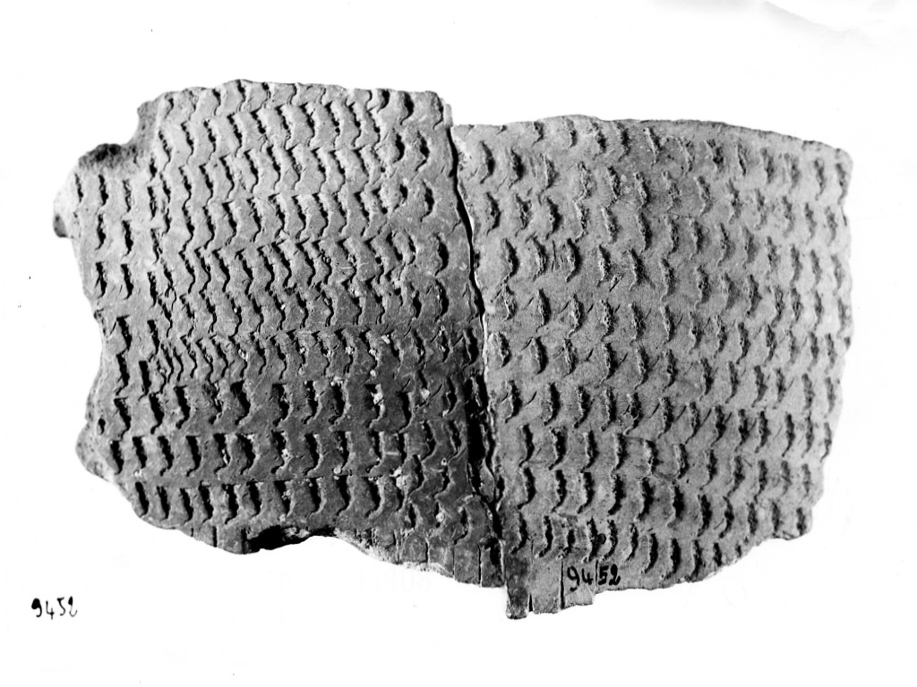 vaso/ frammento - ceramica impressa tipo Molfetta (Neolitico Antico)