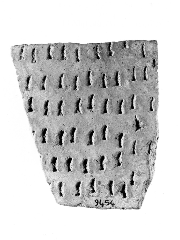 vaso/ frammento - ceramica impressa tipo Molfetta (Neolitico Antico)