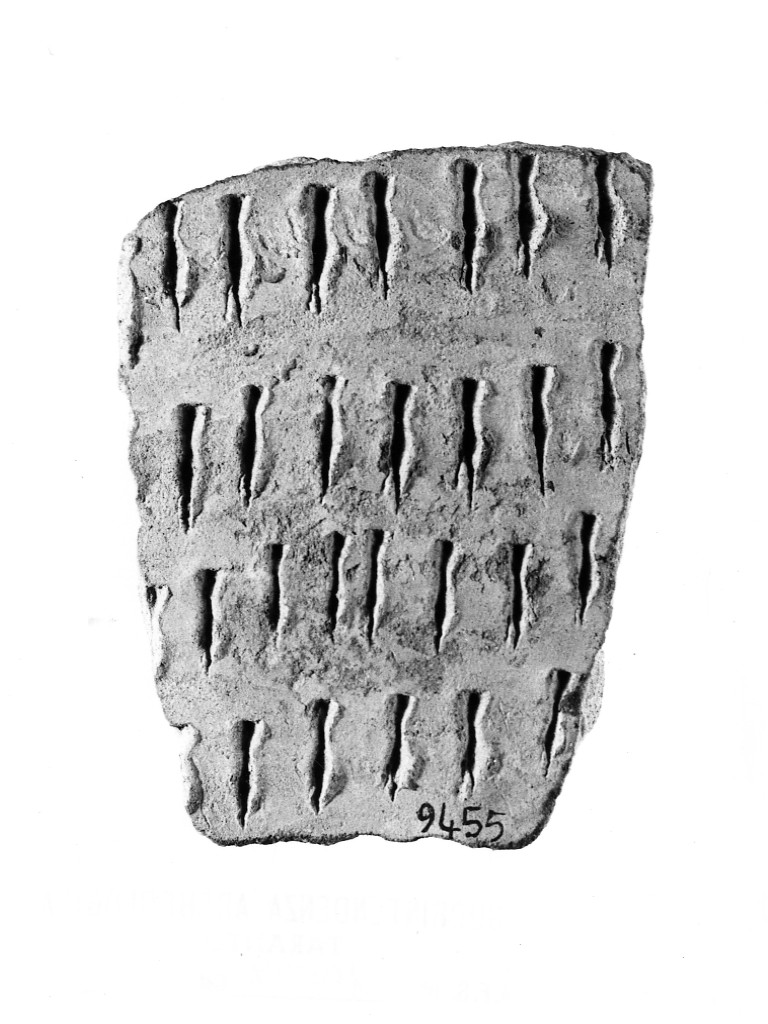 vaso/ frammento - ceramica impressa tipo Molfetta (Neolitico Antico)