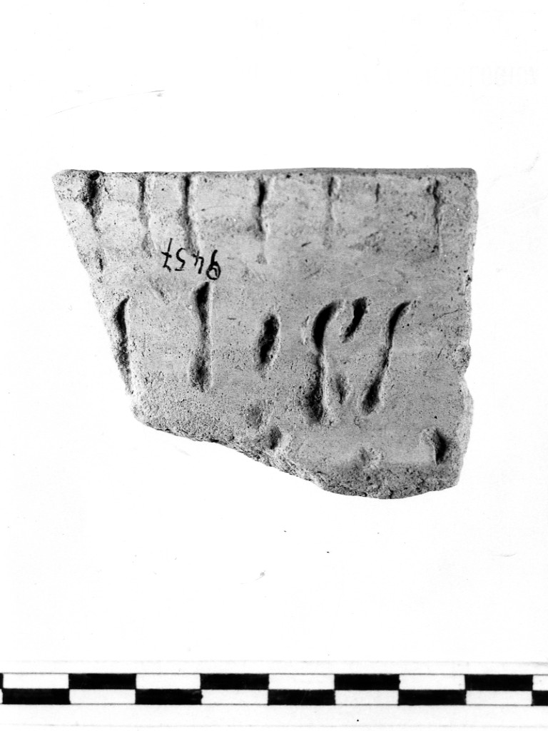 recipiente/ frammento - ceramica impressa tipo Molfetta (Neolitico Antico)