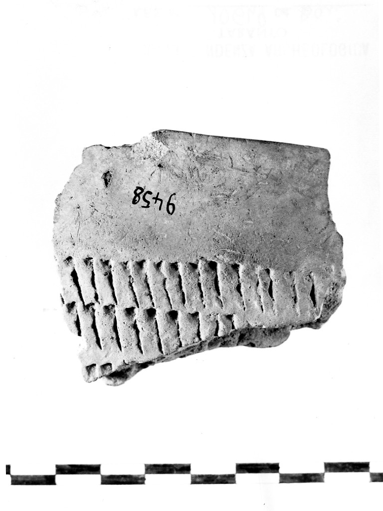 recipiente/ frammento - ceramica impressa tipo Molfetta (Neolitico Antico)