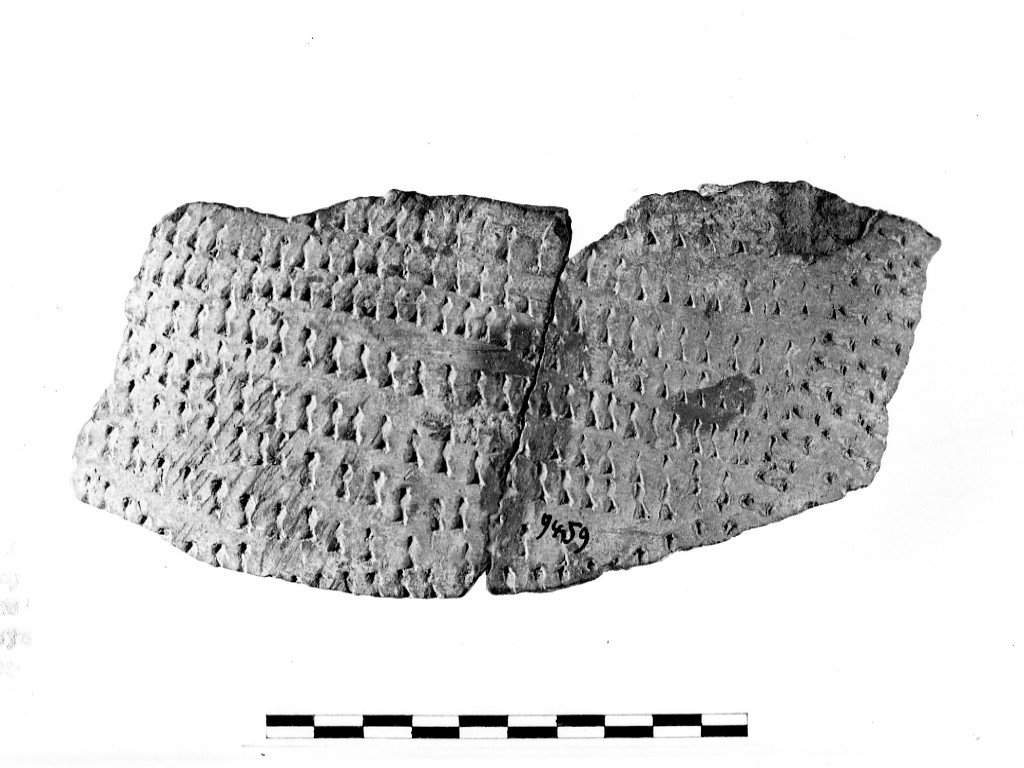 vaso/ frammento - ceramica impressa tipo Molfetta (Neolitico Antico)