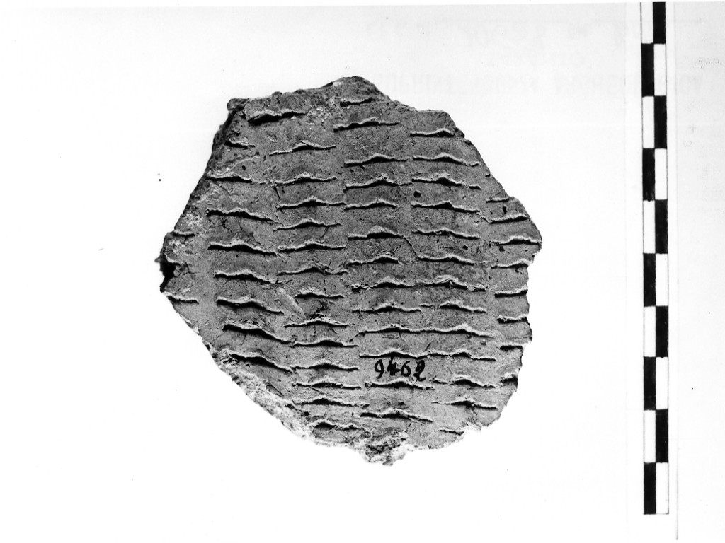 vaso/ frammento - ceramica impressa tipo Molfetta (Neolitico Antico)