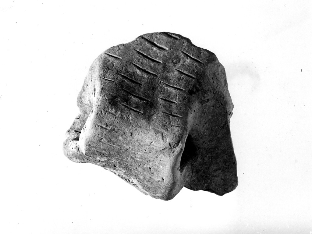 ansa/ frammento - ceramica impressa tipo Molfetta (Neolitico Antico)